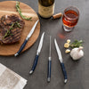 French Home Laguiole Connoisseur 4-Piece Steak Knife Set with Navy Handles