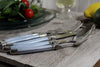 French Home Laguiole 20 Piece Stainless Steel Flatware Set, Service for 4, Ice Blue